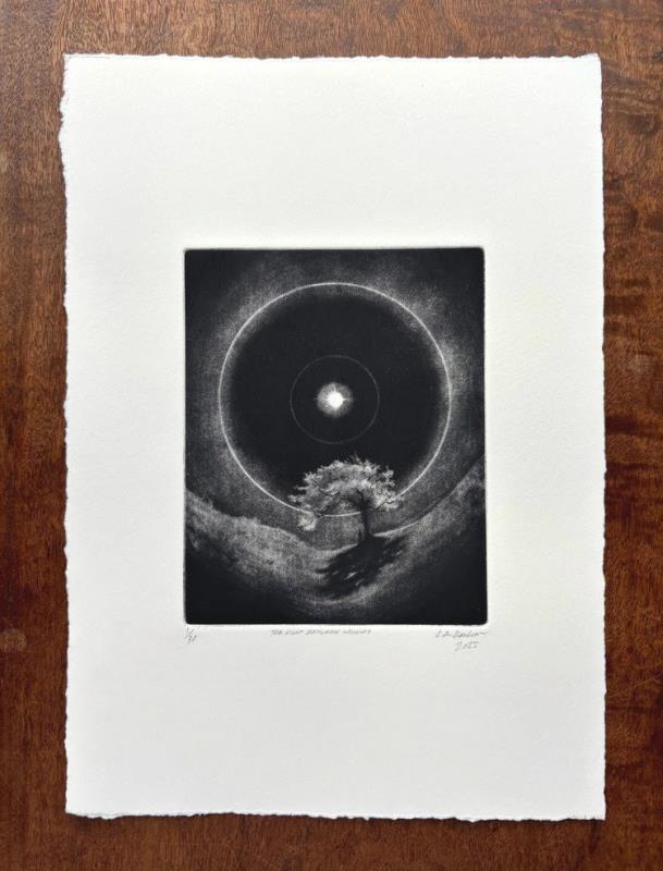 The Light Between Worlds